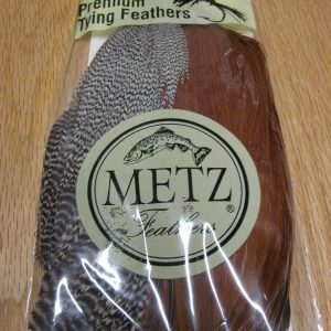 Metz #3 Neck Combo